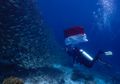 Semangat Papua: Upacara 17 Agustus Bawah Laut Arborek Rajaampat