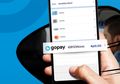 Bukan Halu, Ini Cara Dapat Cashback 76% Naik Bluebird Pakai Gopay