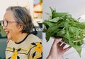 Akhirnya Semua Wanita Bisa Buat Uban di Rambut Hilang Semuanya Dalam Waktu 20 Menit Saja Pakai Bahan Alami dari Kangkung, Seperti Ini Cara Kerjanya