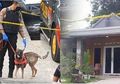 Selain Menemukan Sepatu Putih, Anjing Pelacak yang Diturunkan Selidiki Kasus Pembunuhan Ibu dan Anak di Subang Sempat Gonggongi Seorang Saksi, Kuasa Hukum Yosef: Maaf...