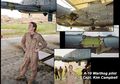 Pesawat yang Fantastis! Kisah Heroik Pilot Wanita Terbaik yang Bawa Pulang ‘Babi Hutan’ A-10 dalam Keadaan Rusak Berat, Berhasilkah Dia?