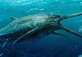 Berkat Anjing, Fosil Ichthyosaurus Berusia 65 Juta Tahun Ditemukan
