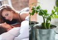 Bikin Durasi Bercinta Makin Lama Demi Pasangan Puas di Ranjang, Para Pria Wajib Minum Air Rebusan Seledri Sebelum Berhubungan Intim, Begini Cara Buatnya