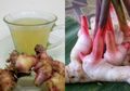 Lengkuas Membuat Virus SARS-CoV-2 Tak Berdaya, Juga Bantu Sembuhkan Campak