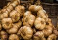 Bawang Putih Panggang Diyakini Punya Banyak Khasiat Tak Terduga Untuk Kesehatan, Begini Cara Mengolahnya yang Benar