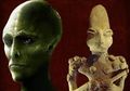 Misteri Kadal Ubaid Berusia 7.000, Dari Mana Asal-usul Orang Ubaidian dengan Bukti Arkeologi Unik Ini?