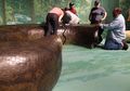Gimana Wujud Titanoboa yang Pernah Jadi Ular Terbesar di Dunia?