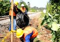 Anak Usaha Surge Berhasil Dapat Pembiayaan Ratusan Miliar dari BNI
