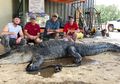 Temuan Artefak Kuno dari Ribuan Tahun Lalu Dalam Perut Aligator