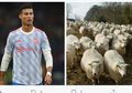 Legenda Man United Ejek Ronaldo Terusir dari Rumah Barunya Gara-gara Hal Lucu
