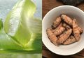 Oleskan Campuran Kunyit dan Gel Lidah Buaya Sebelum Tidur, Inilah 3 Resep Mengatasi Wasir secara Alami
