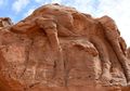 Ukiran Unta Berusia 8.000 Tahun, Lebih Tua Daripada Piramida Giza
