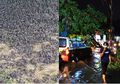 Picu Kematian Ribuan Burung Pipit di Bali dan Sempat Porak-porandakan Depok, Cuaca Ekstrem 'Siap' Hantam Jakarta 26-27 September, BPBD Langsung Minta Warga Lakukan Ini