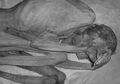 Tato Tertua di Dunia Ditemukan di Mesir, Diyakini Punya Tujuan Magis