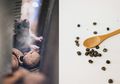 Cara Membasmi Tikus di Rumah Tanpa Meninggalkan Bangkai, Salah Satunya Pakai Merica yang Ada di Dapur, Dijamin Hasilnya Bikin Puas