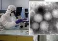 Virus Baru Ditemukan di Negara Asia Ini, Namanya Virus Yezo, Sudah Menginfeksi Manusia, dan Bisa Menyebabkan Kondisi Ini Jika Menginfeksi Manusia