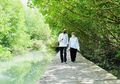 Hutan Mangrove Jadi Sorotan Saat Jokowi Mengunjungi Tahura Ngurah Rai