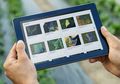 IBM Luncurkan Software Berbasis AI untuk Environmental Intelligence
