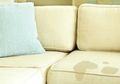 Jika Mengalami Enam Tanda Berikut, Sofa di Rumah Harus Segera Diganti!