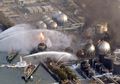 Selidik Paparan Radiasi Bencana Nuklir Fukushima pada Satwa Liar