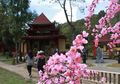 Cocok Dikunjungi di Akhir Pekan, Inilah 5 Tempat Wisata Tawangmangu, Bisa Bersantai Sambil Nikmati Pemandangan Sekitar