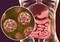 Mengenal Gejala Norovirus, Infeksi Virus Sebabkan Gangguan Pencernaan