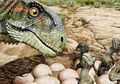 Kawanan Dinosaurus Tertua Ditemukan, Ada Embrio di Beberapa Telurnya!