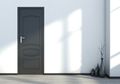 Warna Hitam jadi Pilihan Terbaik untuk Pintu di Rumah, Ini Alasannya!
