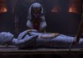 5.398 Artefak Terkubur Bersama Mumi Firaun Tutankhamun, Terkuak Inilah Hal-hal Aneh Tentang Makam Mesir Kuno, Termasuk Ditemukan Banyak Mumi Tapi Bukan Manusia