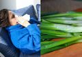 Jangan Mau Ketergantungan Obat, Daun Bawang yang Diolah Seperti Ini Ternyata Mujarab Sembuhkan Flu dan Batuk dalam Waktu Cepat