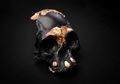 Penemuan Tengkorak Bayi Homo Naledi Ungkap Cara Pemakamam Kuno