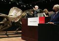 Kontroversi Lelang Triceratops Big John, Pantaskah Di Tangan Kolektor?