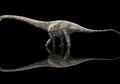 Supersaurus Dikabarkan Jadi Dinosaurus Terpanjang yang Pernah Ada