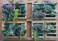 Taman Vertikal bisa Didesain Optimal dan Lebih Kreatif dengan Mengikuti Langkah Ini