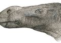 Pensiunan Dokter Temukan Spesies Baru Dinosaurus Berhidung Super Besar