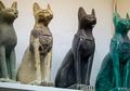 Tak Melulu Dipuja-puja, Ternyata Ada Alasan Biadab dan Kejam Mengapa Orang Mesir Kuno Terobsesi pada Kucing, Penelitian Ini Buktinya