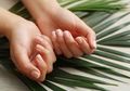 Tak Perlu Keluar Banyak Biaya untuk Manicure, Begini Cara Merawat Kuku Pakai Bahan-bahan Alami Supaya Tidak Mudah Rapuh dan Patah