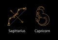 Cek Zodiak Bulan Desember, Beginilah Sifat-sifat dan Percintaan Zodiak Sagitarius dan Capricorn