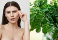 Manfaat Daun Kelor untuk Wajah Sungguh Fantastis, Ampuh Hilangkan Jerawat dan Bikin Awet Muda Cuma dengan Diolah Jadi Seperti Ini