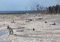 Tanah di Indonesia Ini Jadi Pabrik Uang Amerika Serikat, Orang Belanda Ini Beberkan Aliran Uang dari Tambang Emas Freeport Hingga Pengakuan Warga Papua