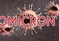 Tak Heran Virus Corona Varian Omicron Membuat Seluruh Dunia Ketar Ketir, Para Ilmuwan Beri Peringatan Skenario Terburuk Kapan Terjadinya Gelombang Besar Pandemi Covid-19