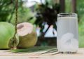 Gak Cuma Segar, Minum Air Kelapa Muda Saat Buka Puasa di Bulan Ramadhan Juga Miliki Manfaat Luar Biasa Ini