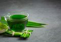 Coba Rebus Daun Pandan dan Minum Airnya Secara Rutin, Jangan Kaget Sama Efeknya yang Bisa Bikin Satu Keluarga Jadi Jarang Sakit-sakitan