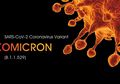 Hubungan Infeksi Varian Omicron dengan HIV/AIDS, Kemenkes; Berkaitan, Profesor Ahli HIV; Masuk Akal Tapi Tidak Terbukti