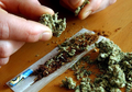 Hati-hati! Selain Ganja, 5 Tanaman Ini Ternyata Juga Punya Efek Memabukkan