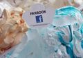Wow, Ada Es Krim Rasa Facebook!