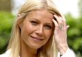 Gwyneth Paltrow: Satu Tahun Satu Film