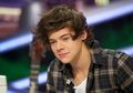 Fans Harry Styles 1D Mengamuk di Twitter