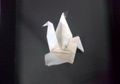 Acha JKT48 Punya Skill "Origami"