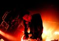 Gitaris Angels and Airwaves Buka Perusahaan Biji Kopi
